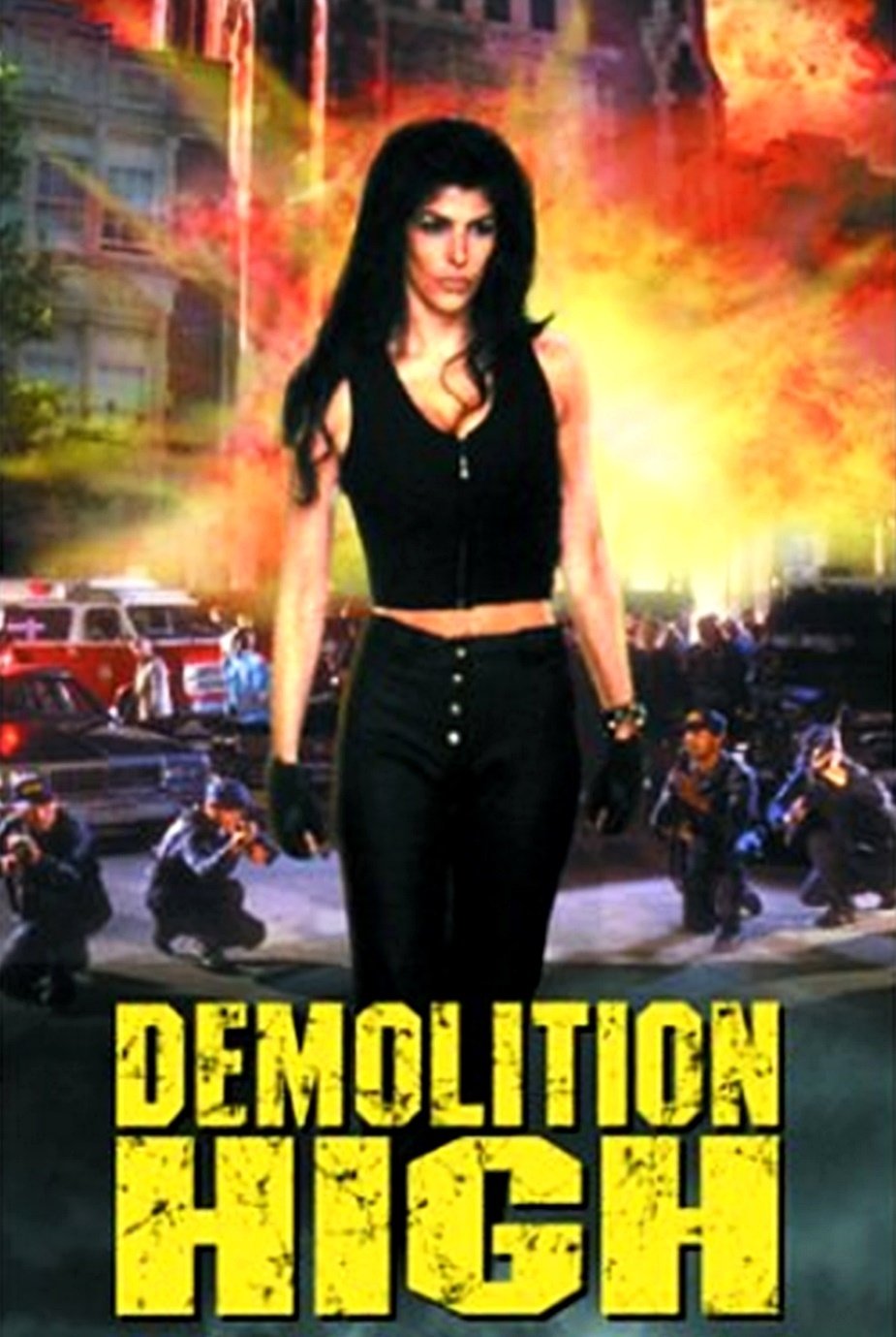 Постер Demolition High